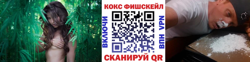 Купить  Химки  КОКАИН 98% 