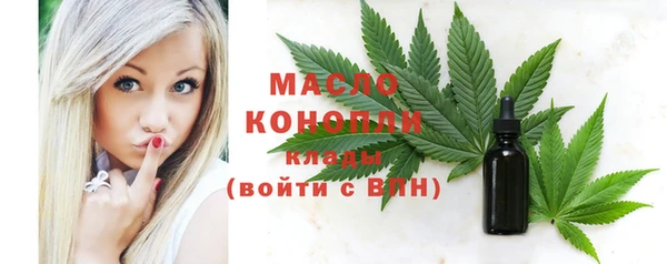 шишки Осташков
