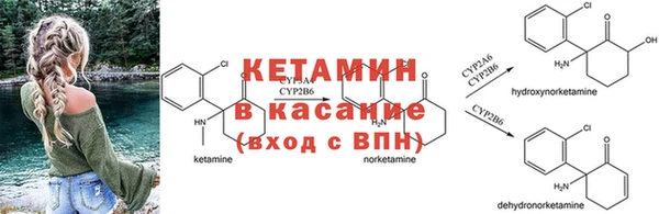 шишки Осташков