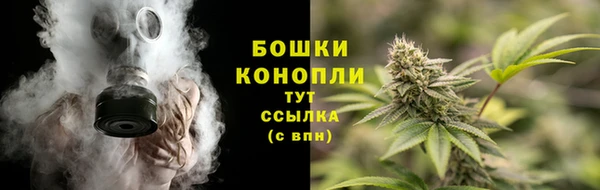 шишки Осташков