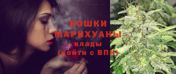 шишки Осташков