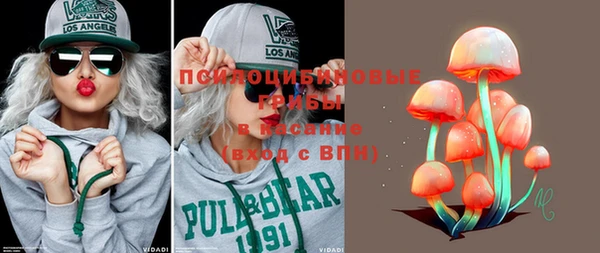 шишки Осташков