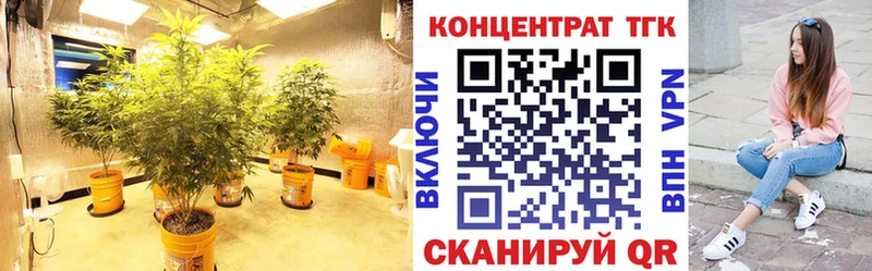 Купить  Химки  Дистиллят ТГК гашишное масло 