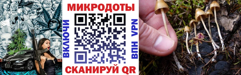 Галлюциногенные грибы мухоморы  Купить где  Химки 